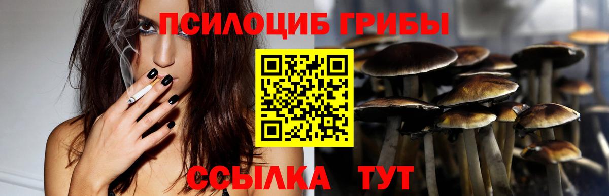 Галлюциногенные грибы MAGIC MUSHROOMS Гай